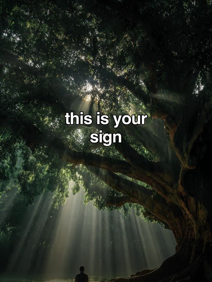 Example TikTok slideshow made with Vyral